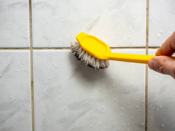 Best Affordable Mold Removal  in Dunnigan, CA