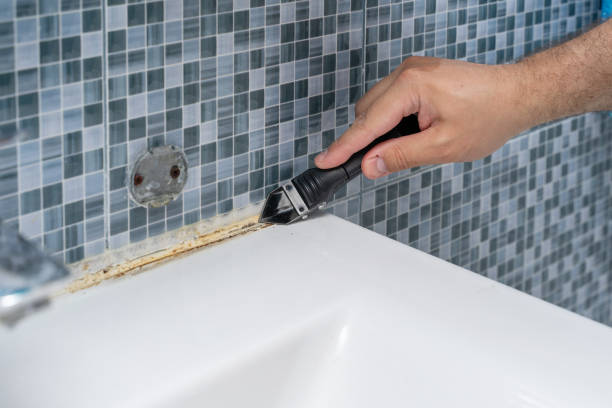 Best Crawl Space Mold Removal  in Dunnigan, CA