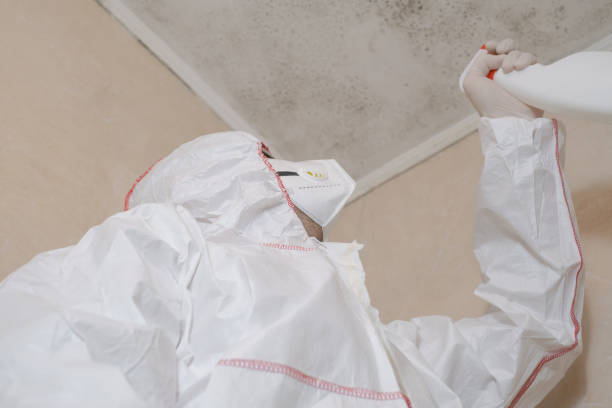 Best Residential Mold Removal  in Dunnigan, CA